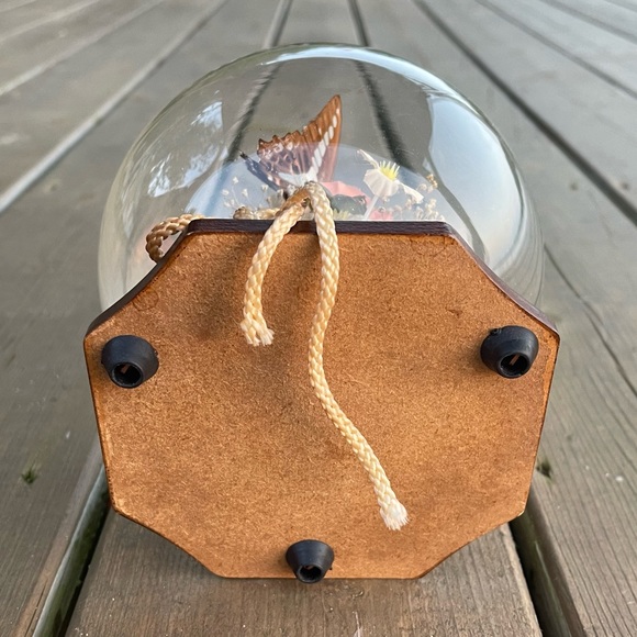 Vintage Real Butterfly Taxidermy Solid Glass Dome Globe Wood Base - Picture 11 of 12